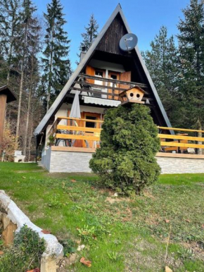 Hiša Pr Valter Jesenice